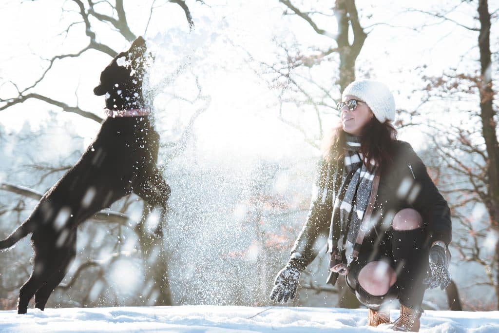Vrouw stoeit in de sneeuw met haar hond